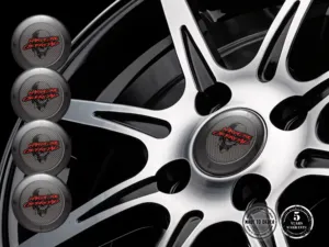 Radaufkleber Premium Racing Labels für Fahrzeuge
